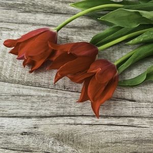 Meet your Posher, Dani